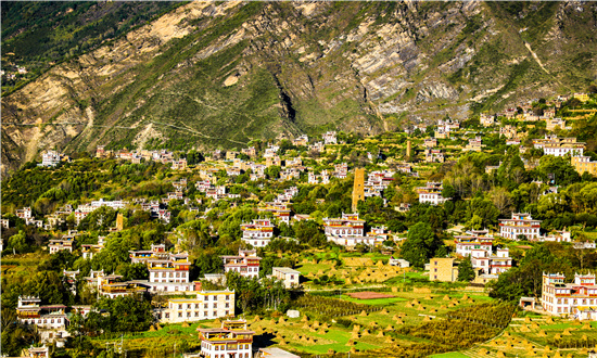 2024年高原特色农业行业市场发展现状及未来发展前景分析