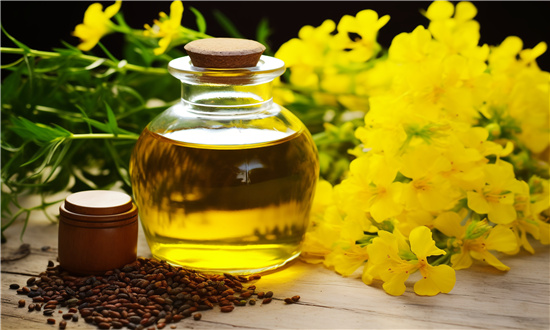 2024年低芥酸菜籽油行业市场发展现状及未来发展前景分析