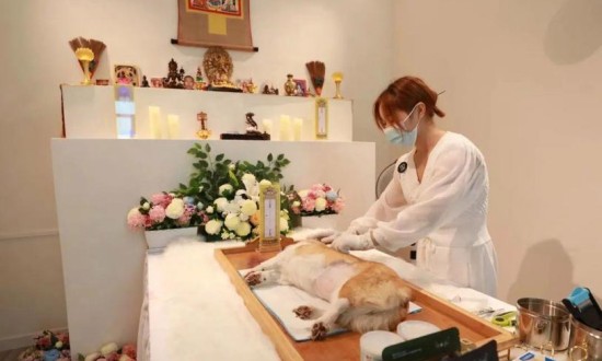 2024年中国宠物殡葬服务行业的市场发展现状及发展前景分析