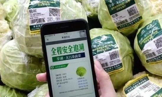 2024年中国食品溯源行业的产业链上下游结构及投资潜力分析