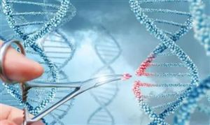 基因行业发展趋势及投资前景分析报告 世界首例猪到人的临床辅助异种肝移植手术成功完成