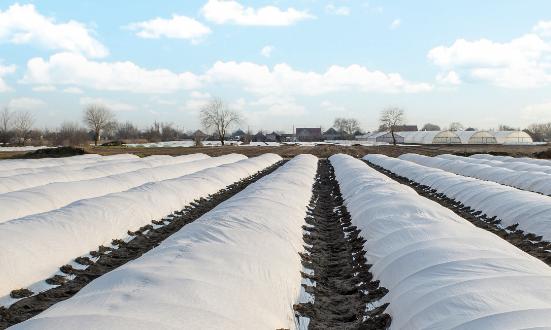 2024年中国高性能膜材料行业现状、市场规模与未来发展前景分析