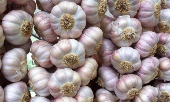 2024大蒜行业发展前景与投资机会