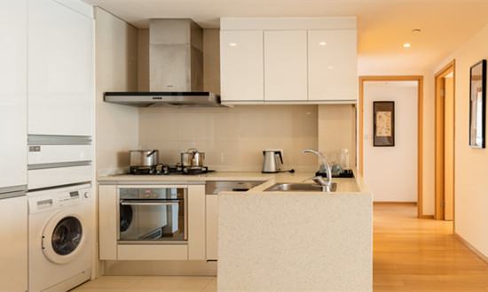 酒店式公寓行业市场全景分析报告2024