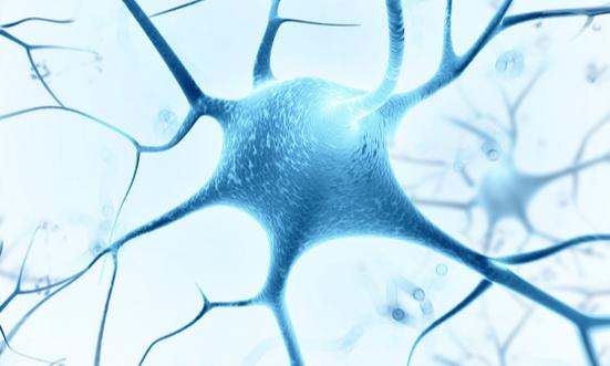 2024年干细胞行业市场现状及发展趋势分析