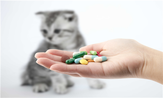 2024年宠物药品行业市场发展现状及未来发展前景分析