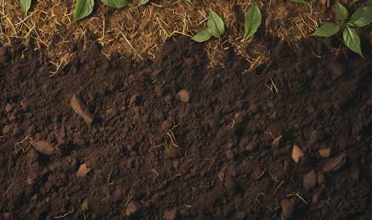中国土壤修复市场投资策略及前景预测