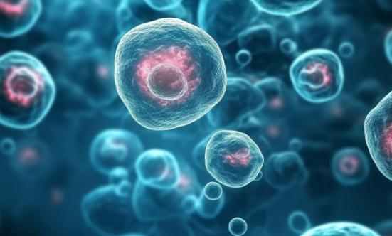 2024干细胞产业链上下游发展现状及市场规模分析