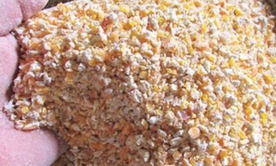 2024年中国谷物磨制饲料行业的产业链上下游结构及发展前景分析