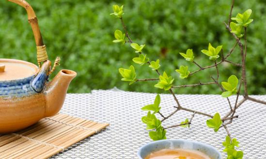 2024年中国茶多酚行业现状、市场规模及未来发展趋势分析