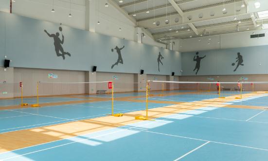 2024体育服务产业未来市场规模及发展趋势预测