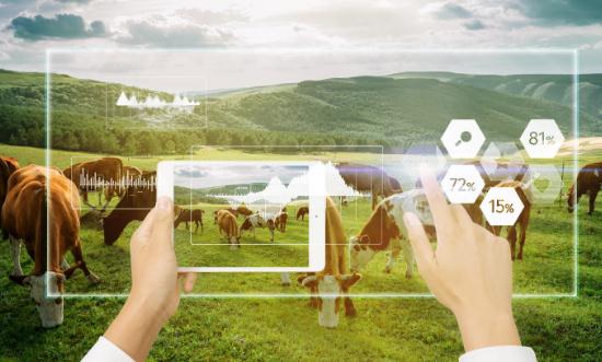 智慧养殖行业市场全景调研 智慧养殖行业市场规模将持续增长