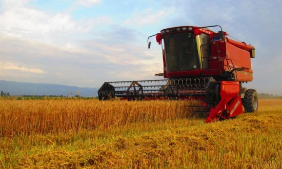 2024年中国新疆农业产业未来发展趋势分析报告