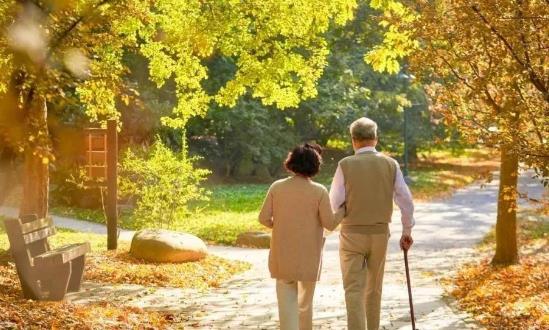 前景预测：到2050年老年旅游消费总额预计将达2.4万亿元以上