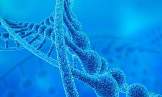 2024年中国生物刺激素行业现状及未来发展趋势分析