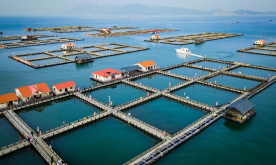 2024年中国海洋牧场行业的市场发展现状及投资前景分析