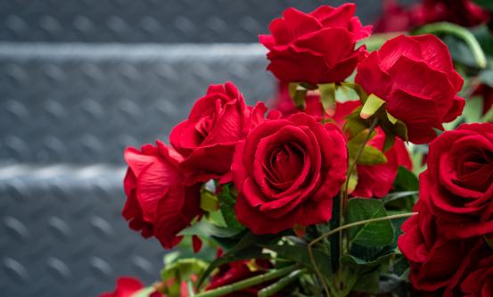 玫瑰花行业市场深度调研 预计玫瑰花市场规模将持续扩大