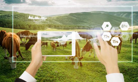 中国智慧养殖行业市场调研与发展前景预测