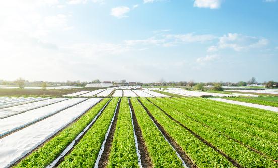 农用薄膜行业未来发展前景 环保型农用薄膜的市场份额将持续增长
