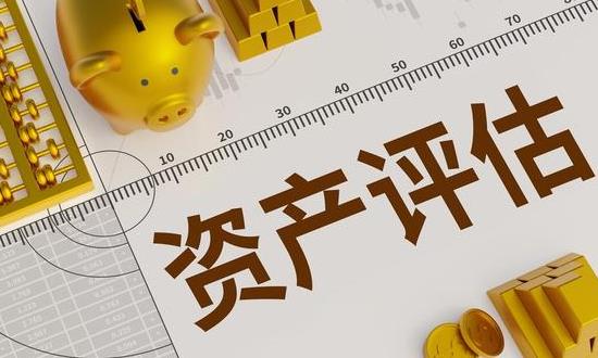 2024资产评估行业市场分析与前景预测