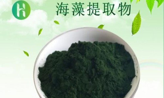 2024年中国海藻提取物行业的市场发展现状及投资前景