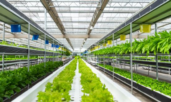 现代农业行业市场分析 预计2030年全球现代农业市场规模将达到数万亿美元