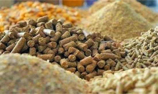 2024年食品及饲料添加剂行业现状分析