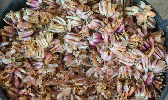 大蒜素行业市场规模及未来发展趋势分析