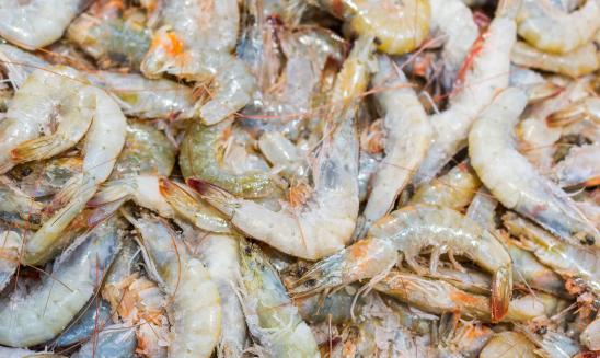 中国水产品批发行业现状及产业链布局分析