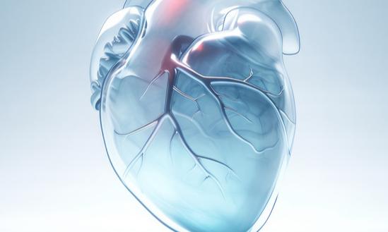 2024年人工心脏行业市场研究报告分析：人工心脏将引领未来医疗革命