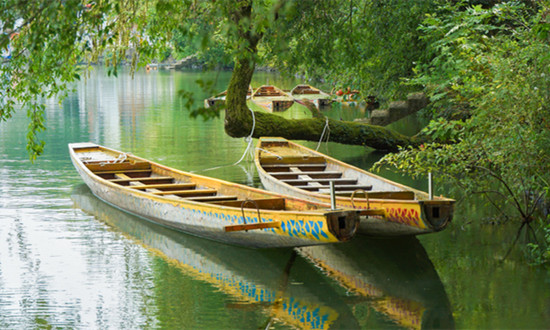 中国全域旅游行业市场深度分析2024