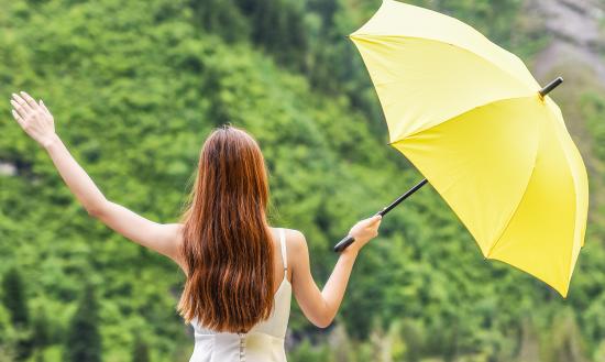 中国防风太阳伞行业发展分析与投资前景预测