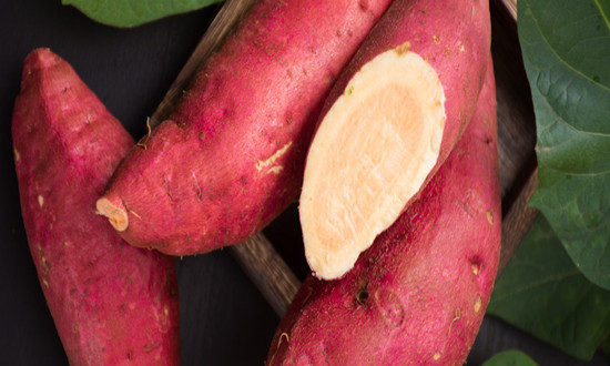 红薯行业市场现状及前景趋势分析