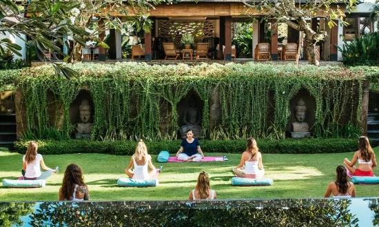 2024健康养生行业发展前景潜力研究