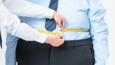 2024脂肪测量仪行业市场现状调研与投资潜力研究