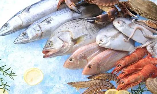 水产品行业产品入市调研与未来消费趋向2024