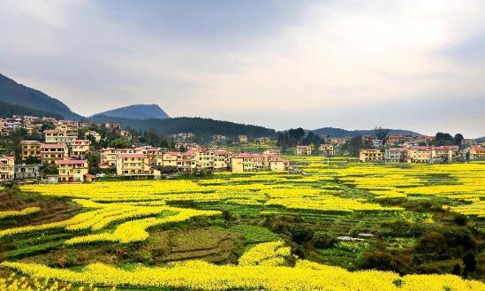 2023年中国乡村旅游行业发展现状、竞争格局及未来发展趋势分析