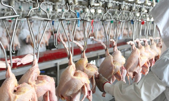 2024年禽类屠宰机械行业的产业链上下游结构及发展趋势