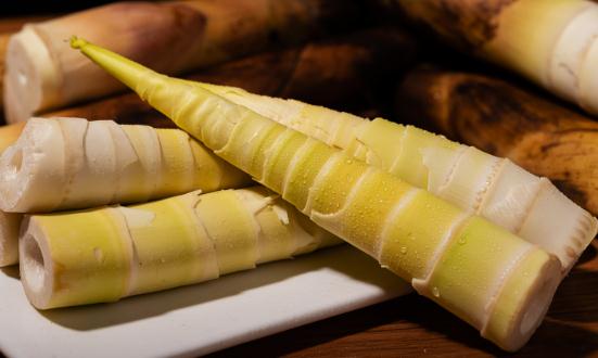 2024中国竹笋行业市场深度调研及投资策略预测