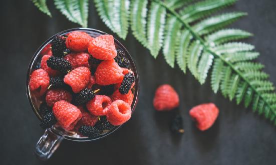 树莓行业发展如何?树莓行业发展调查分析