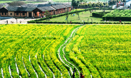 生态度假农庄行业发展现状 生态度假农庄行业未来市场前景