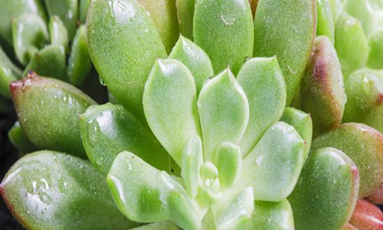 防辐射产品行业市场现状及前景趋势分析