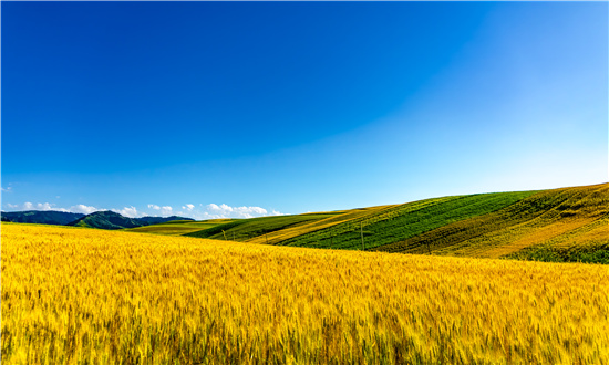 2024年中国数字乡村市场驱动因素、数字乡村主要细分市场及行业未来发展投资前景趋势