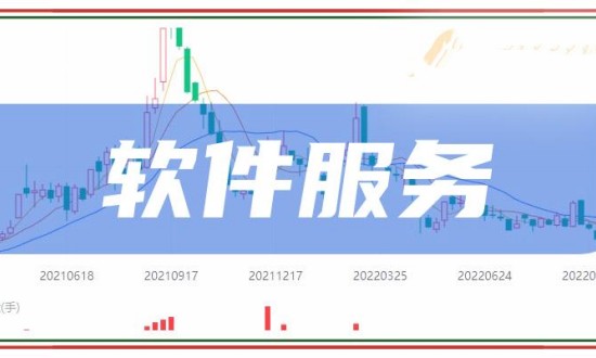 2024年中国软件服务行业现状及前景趋势分析
