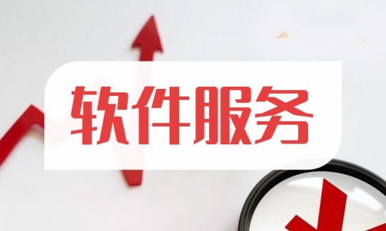2024年中国软件服务行业市场调查与发展前景分析