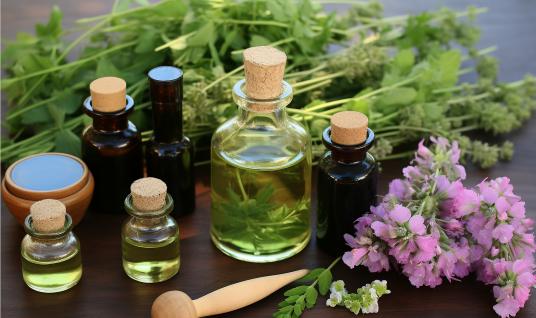 中国天然植物精油行业供需分析及竞争分析2024