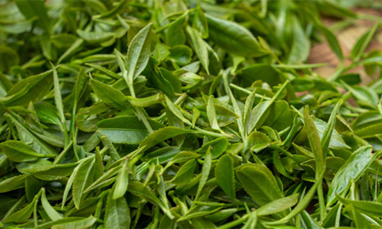 我国现存茶叶相关企业163.8万余家 2024年茶叶行业市场深度分析