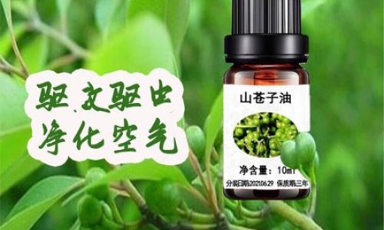 2024年中国山苍子油行业的市场发展现状及投资机会分析