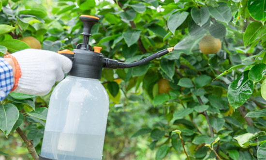 农药原药行业市场供需格局及未来趋势展望2024