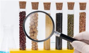 2024转基因技术行业市场前瞻与未来投资战略分析报告 先正达开放基因编辑及育种技术授权